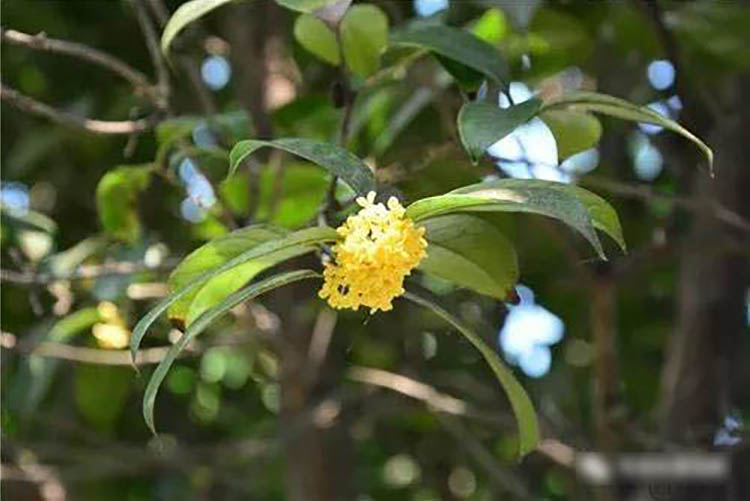 程力風采：金秋九月，我在程力等您